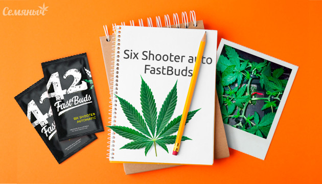 Гроурепорт сорта конопли Six Shooter auto