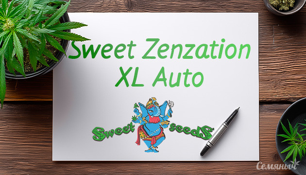 Гроурепорт сорта Sweet Zenzation XL Auto от Sweet Seeds