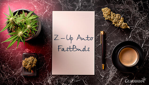 Гроурепорт сорта Z-Up Auto от FastBuds